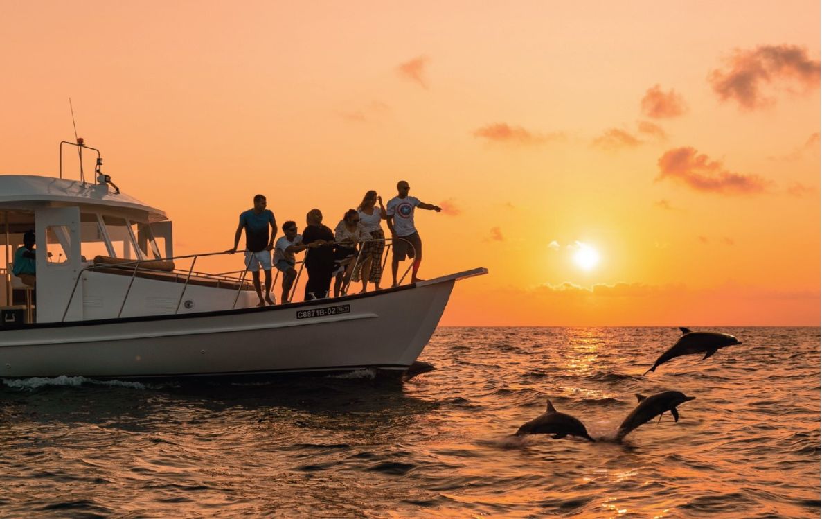 Dolphin Discovery and Snorkeling Excursions