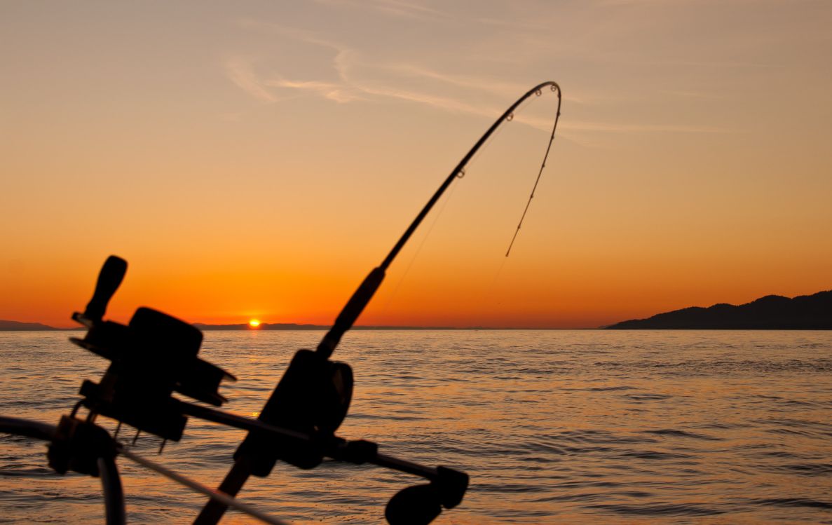 Big Game Fishing