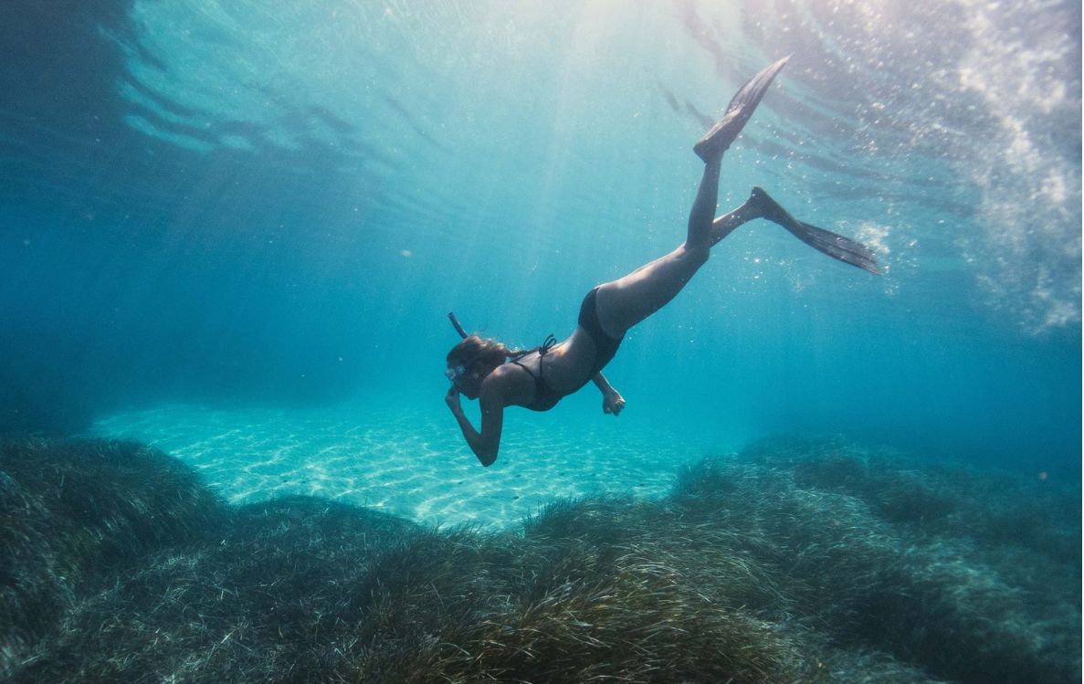 Snorkeling Safar