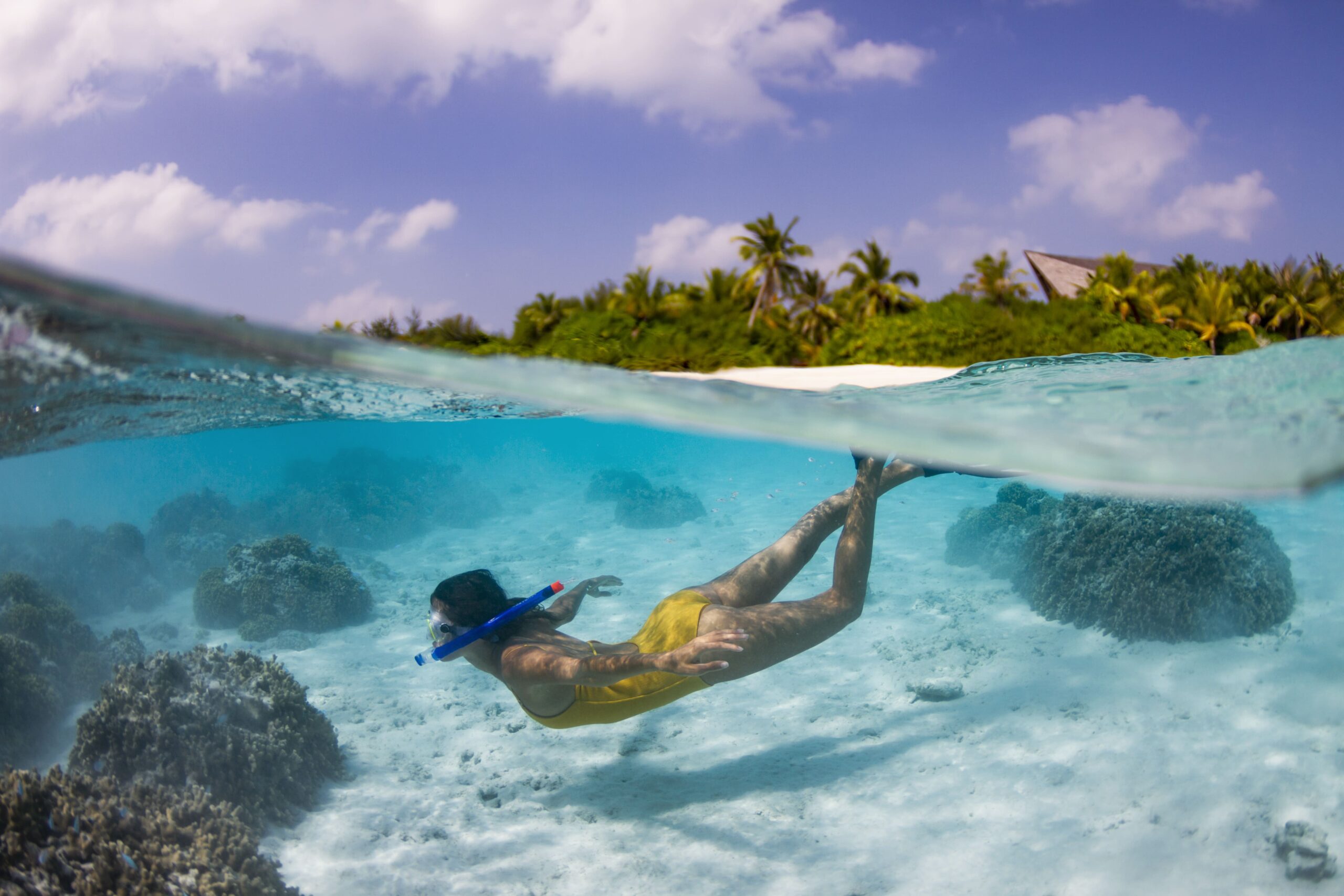 Reef Snorkelling