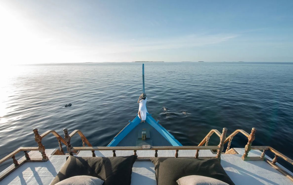 Dolphin Cruise