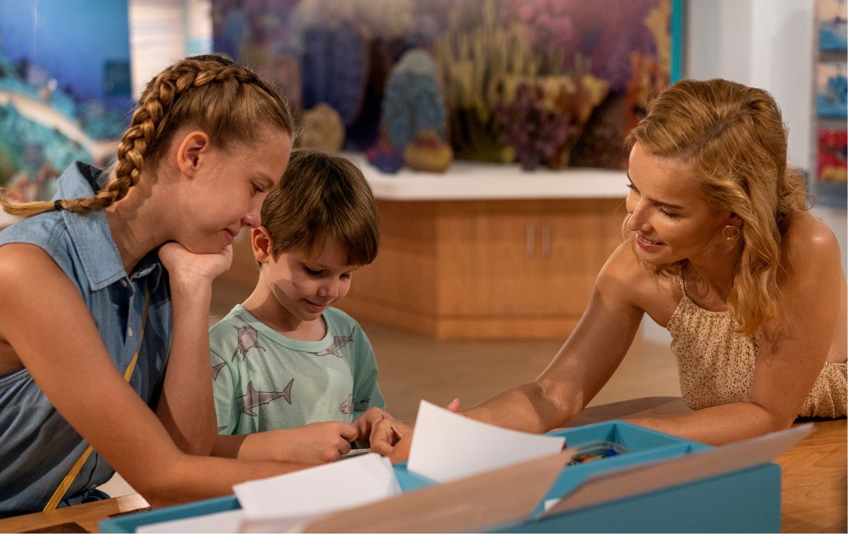Maldives Discovery Centre 
