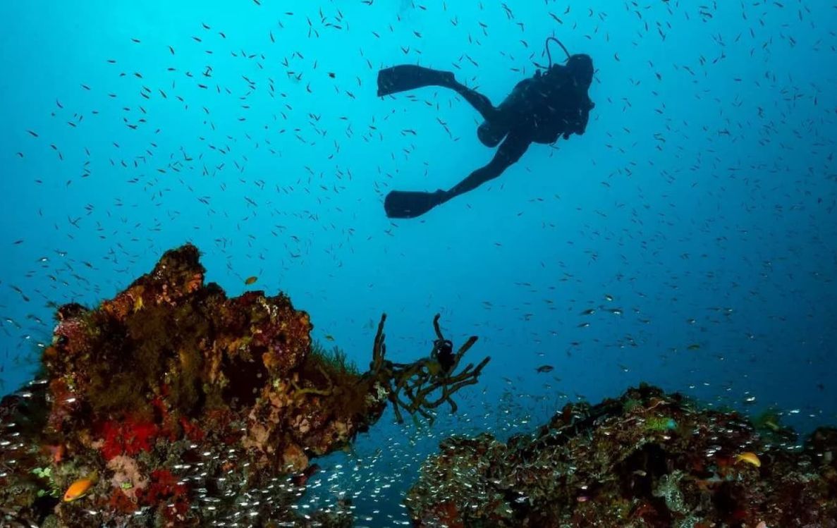 Scuba Diving with Dive Butler