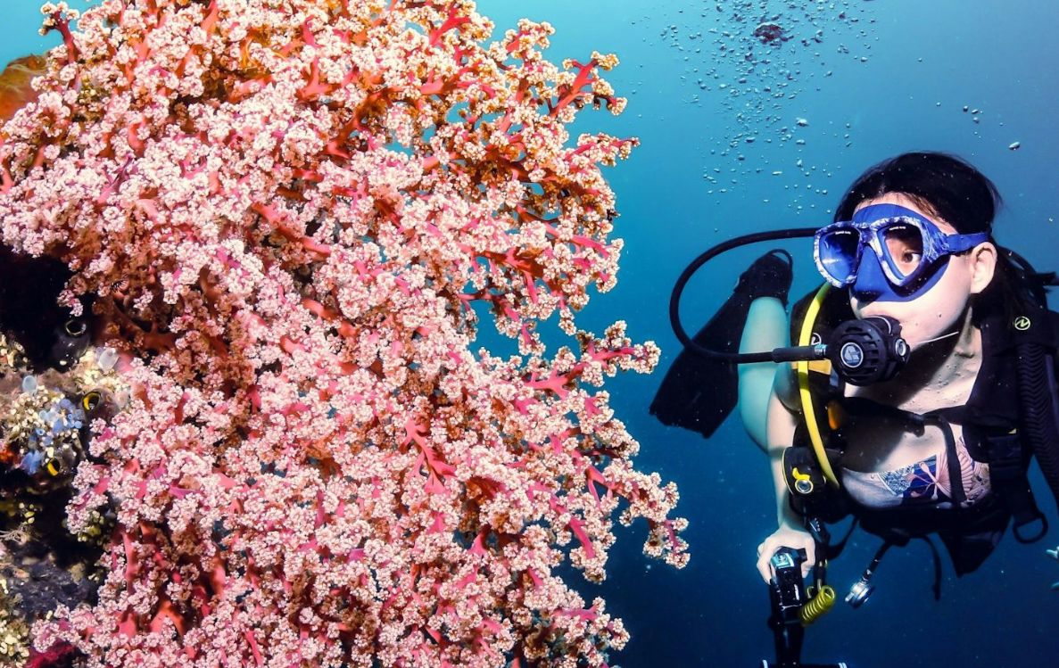 Diving