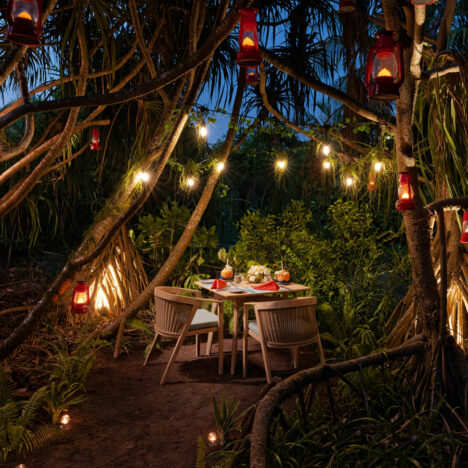 destination-dining_jungle