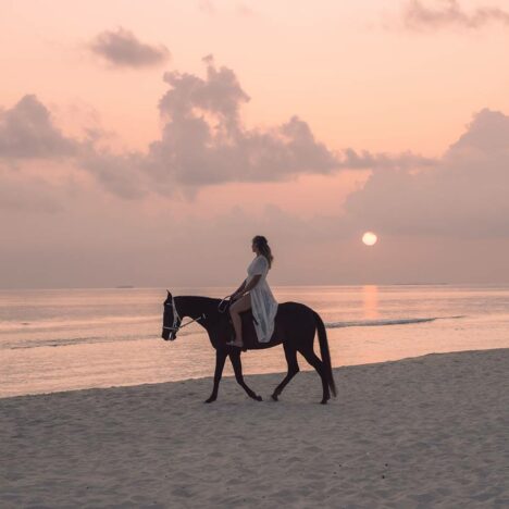 siyam-world-horse-9