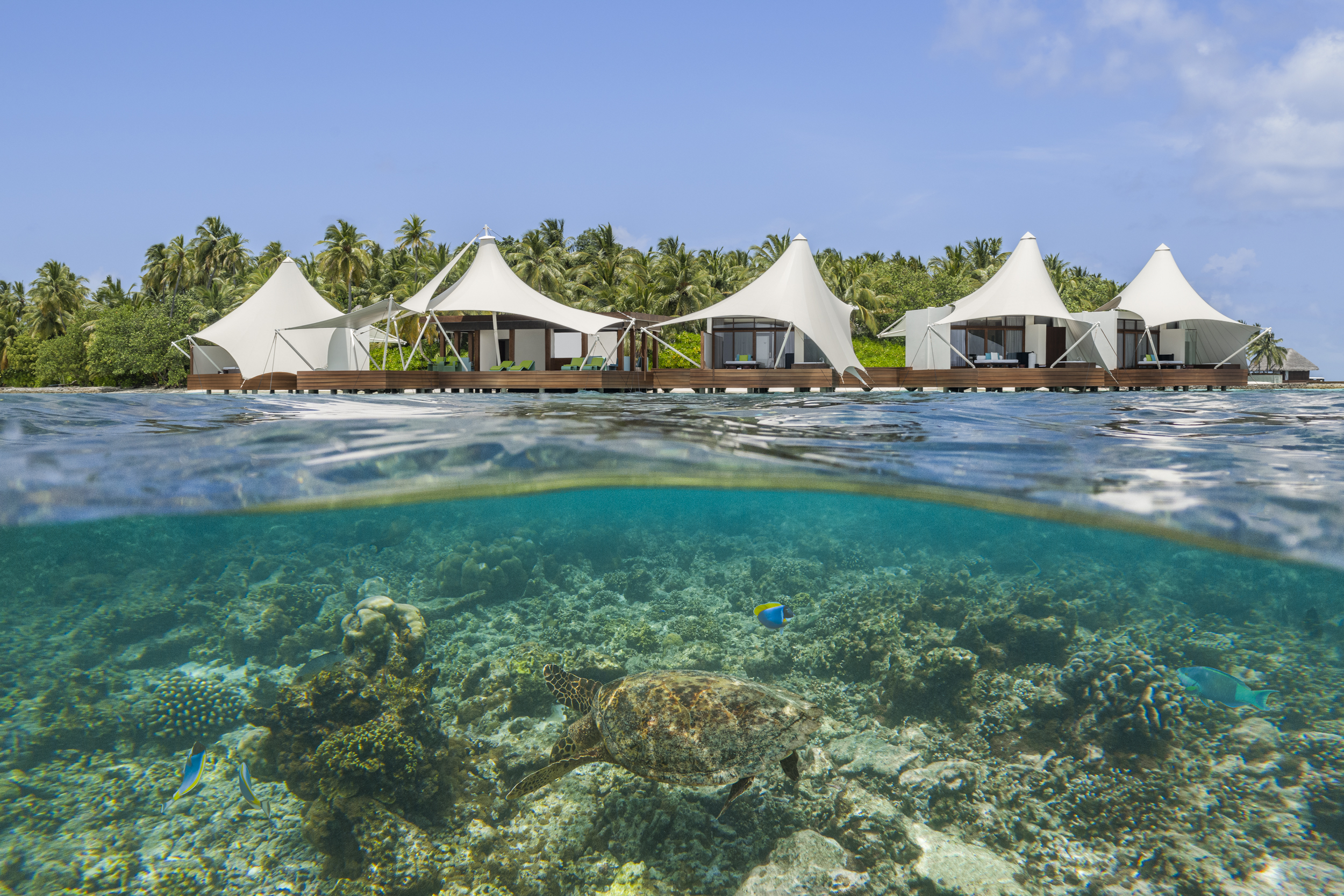 House Reef Snorkelling