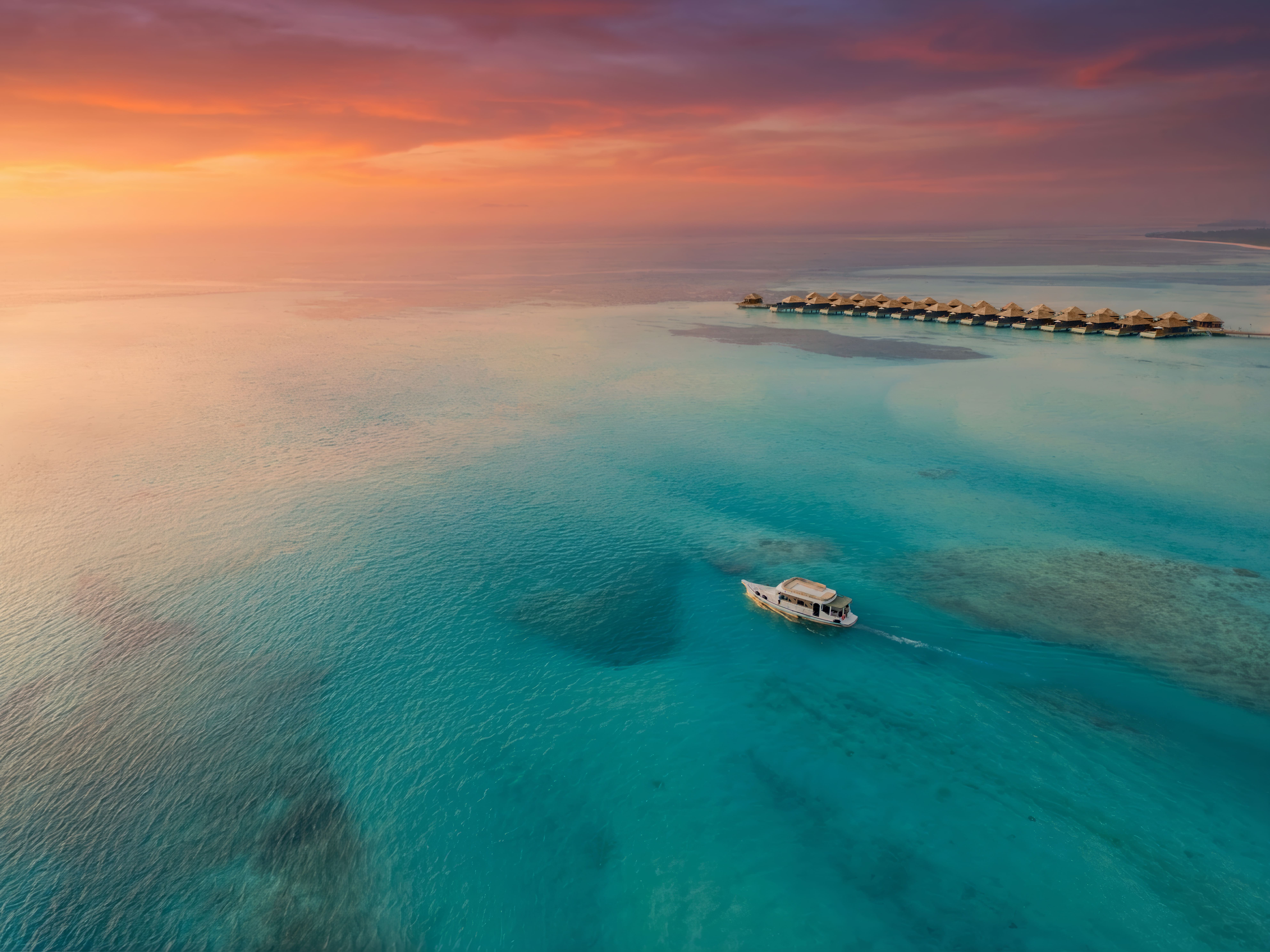 Dolphin Safari