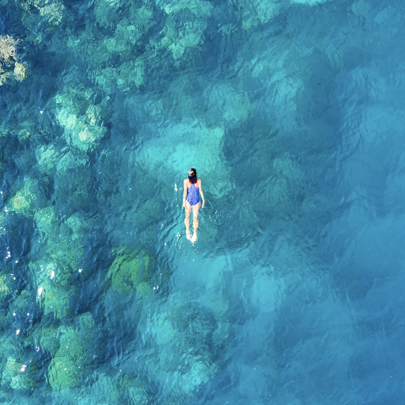 Private Snorkelling