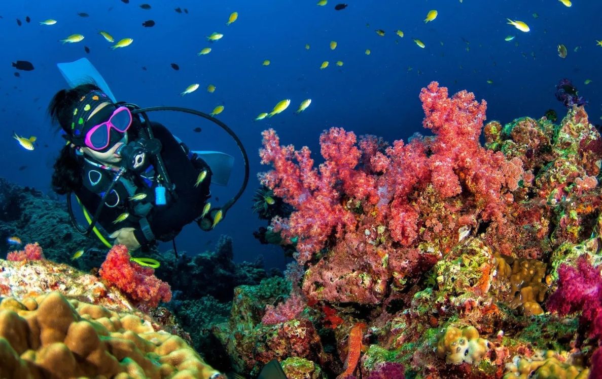Scuba Diving