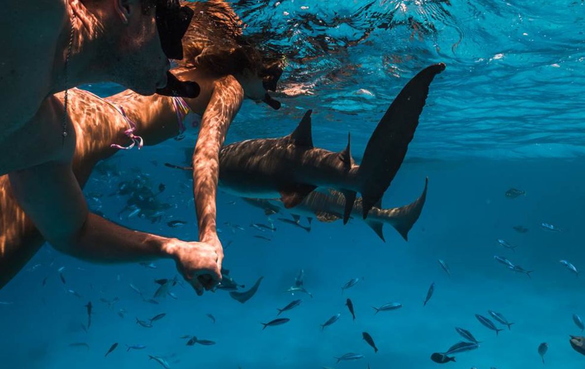 Snorkelling Excursion