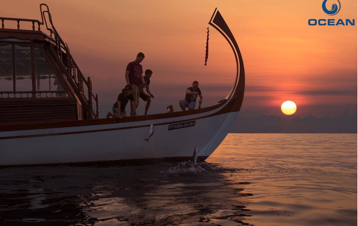Fishing Trips and Big Game Fishing