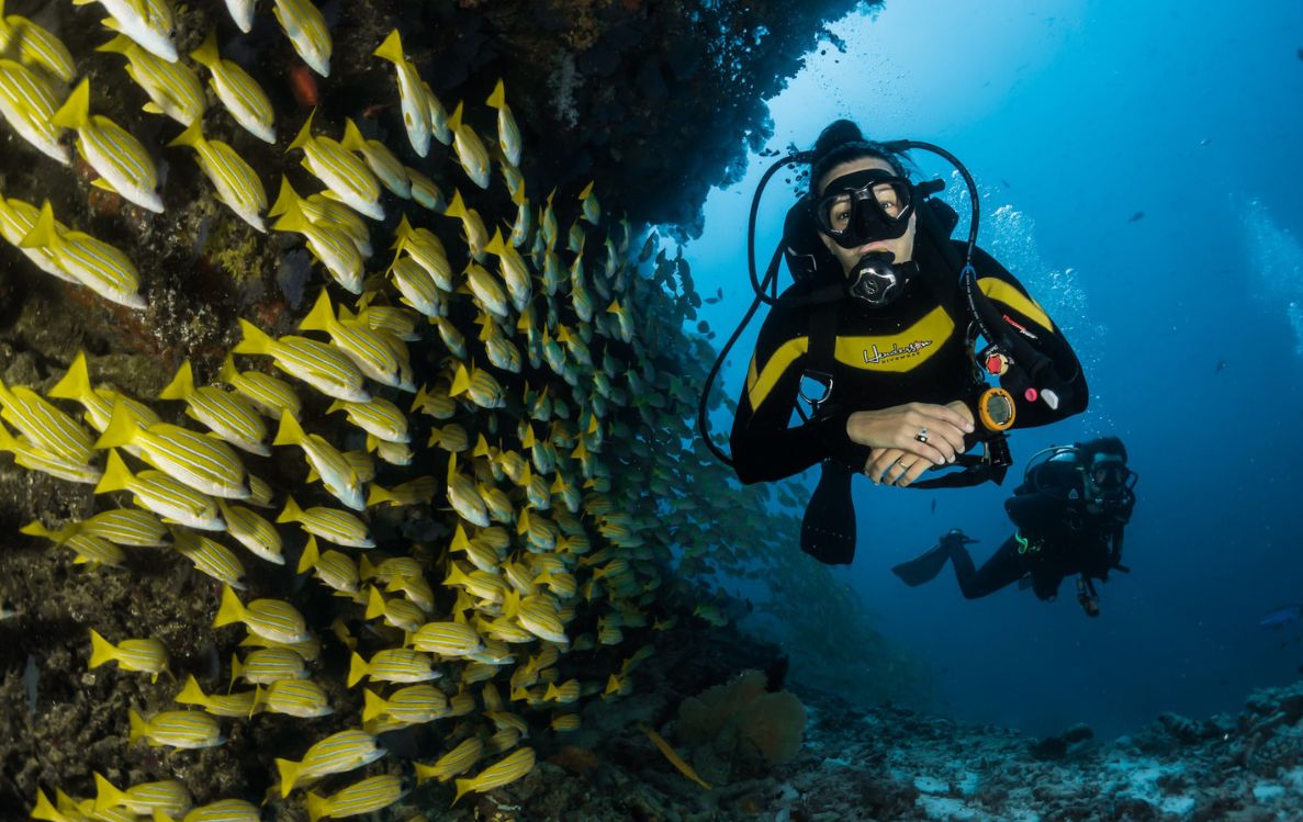 Diving