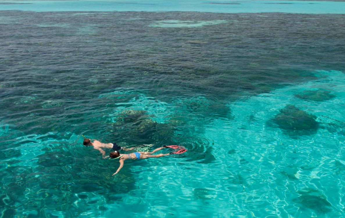 Meeru Adventure Snorkelling