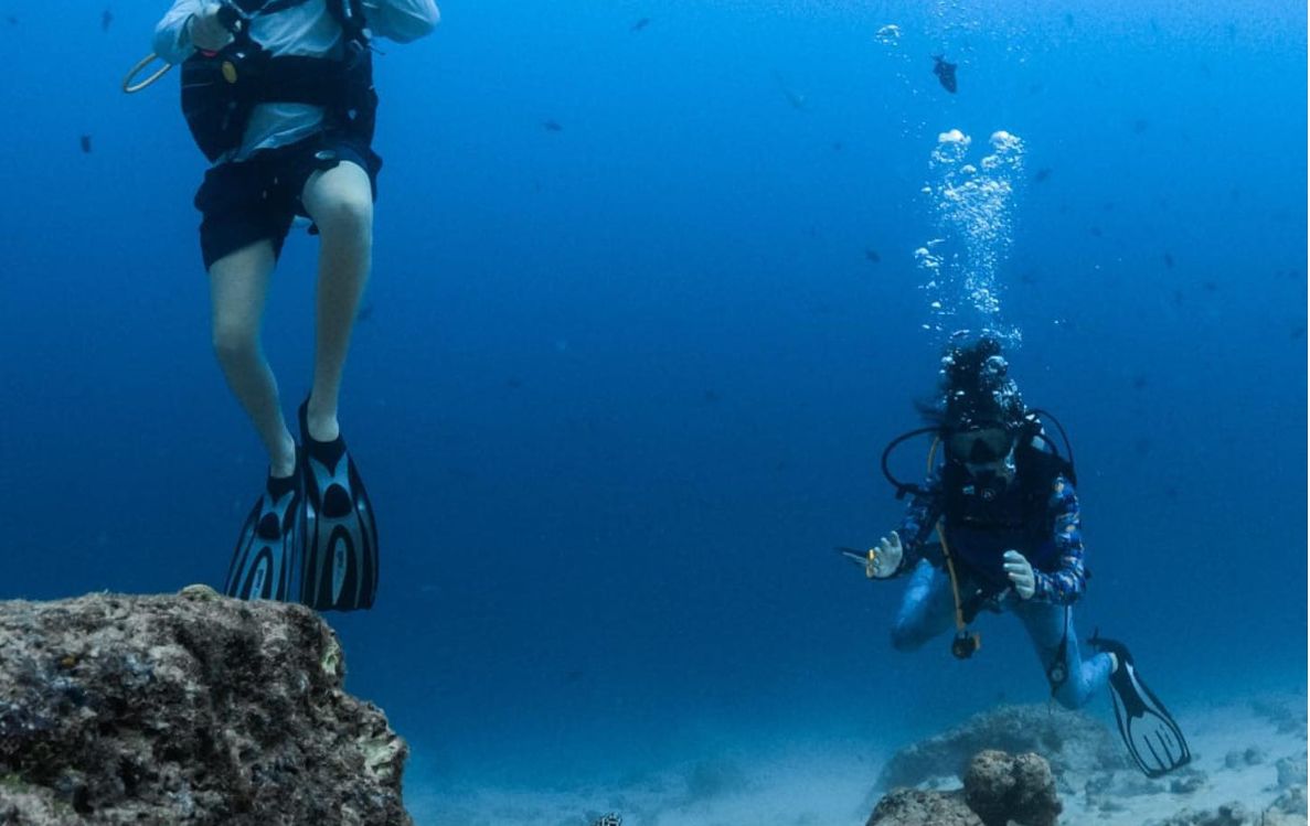 Diving 