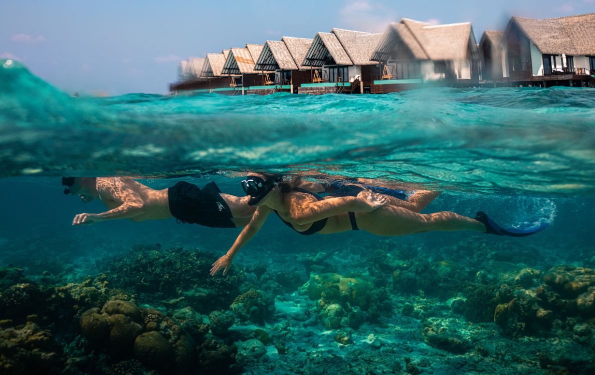 Snorkelling