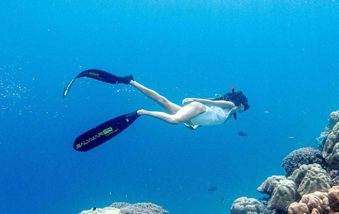 Snorkeling Adventures