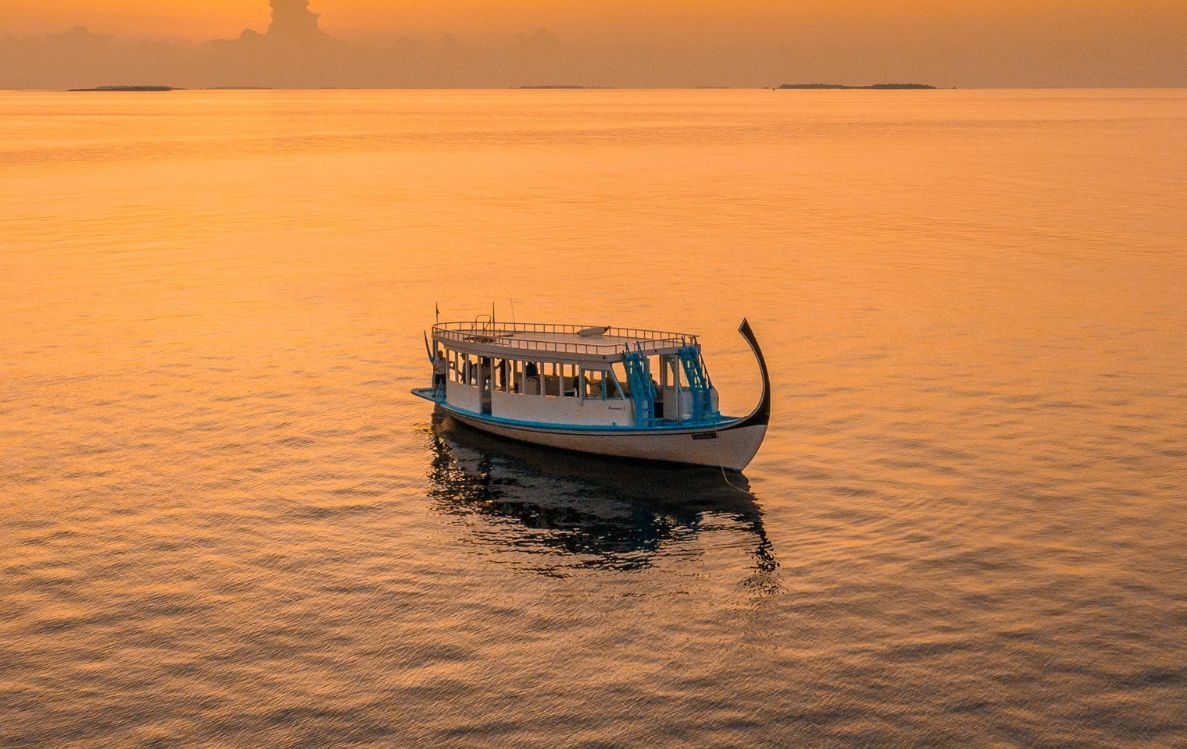 Dolphin Cruise