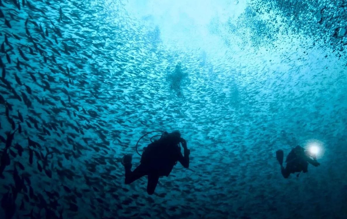 Diving and PADI Courses