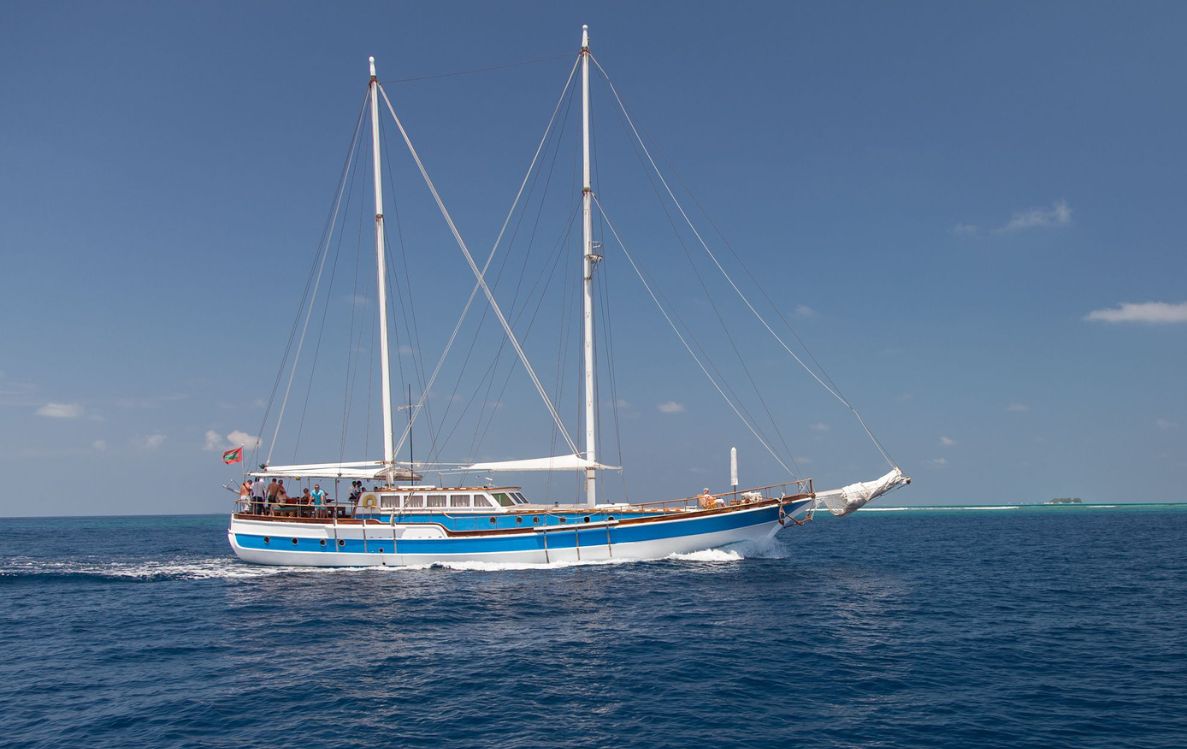 Turtle Explorer on Yacht