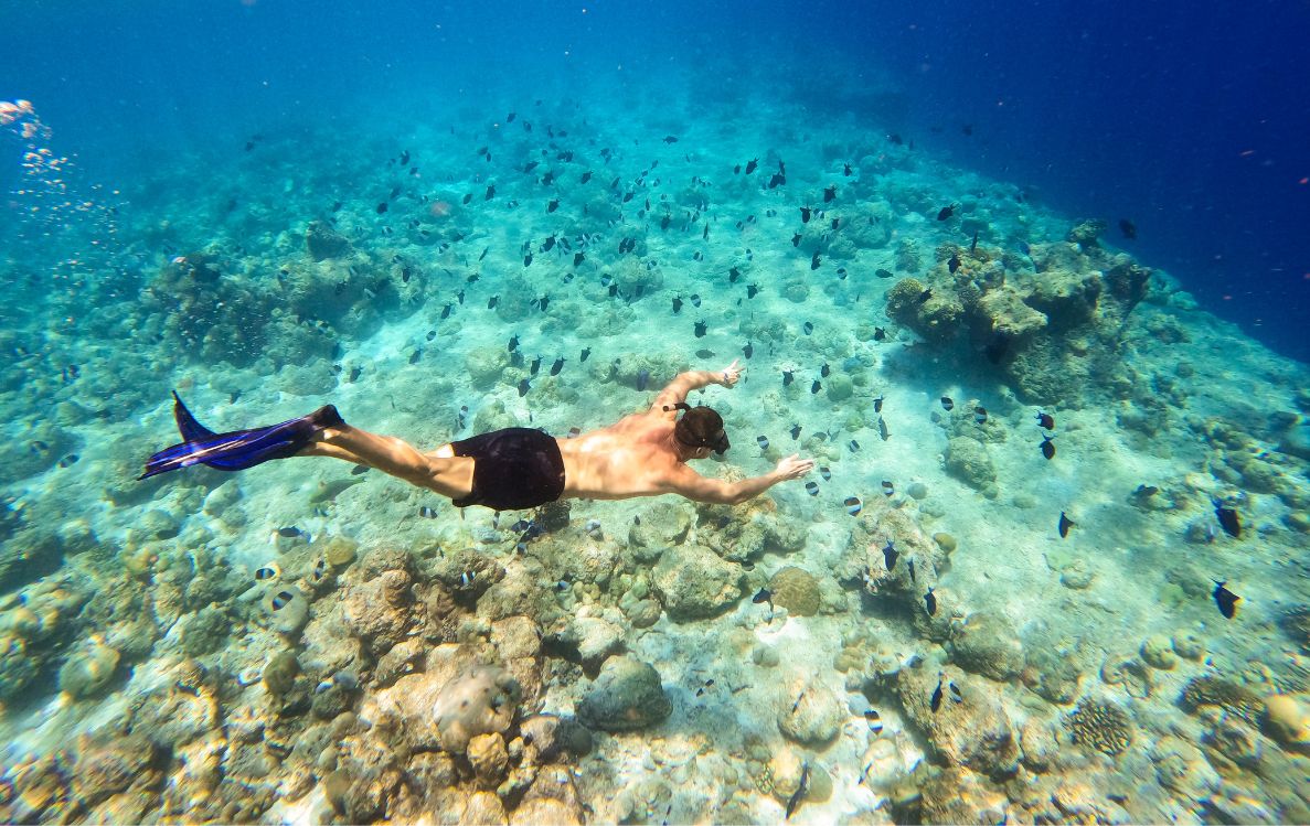 Snorkeling