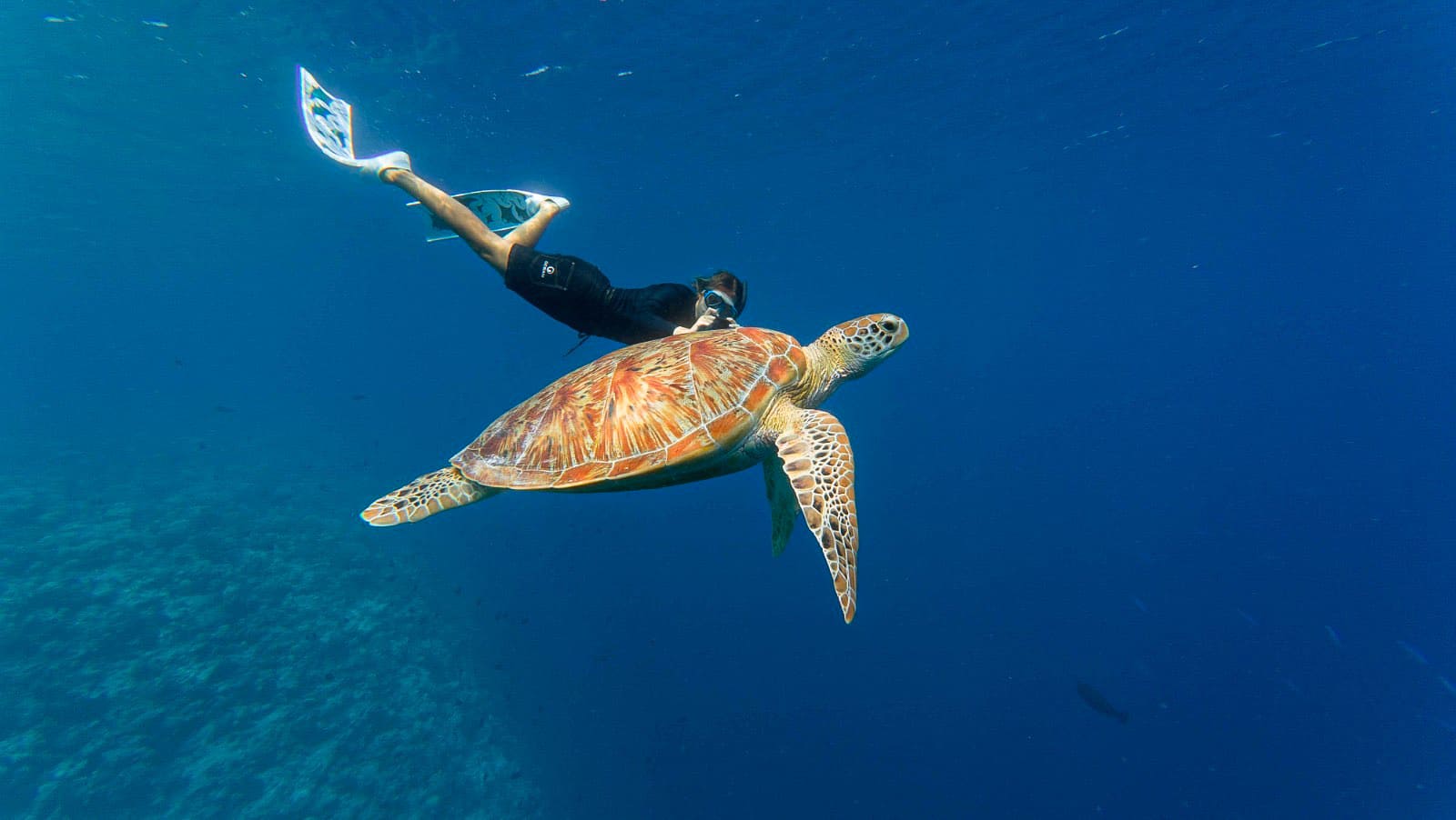 Excursions & Activities