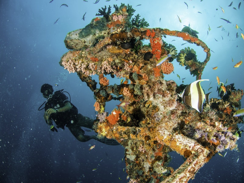 Beneath the Waves: The Machchafushi Dive