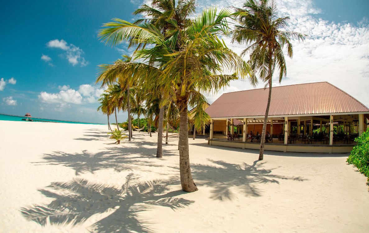 Main Restaurant