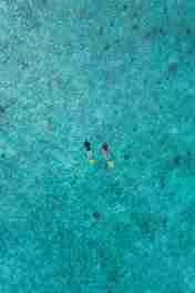 House Reef Snorkelling