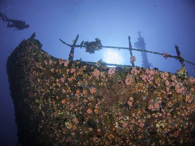 The Famous Kudhi Maa Shipwreck