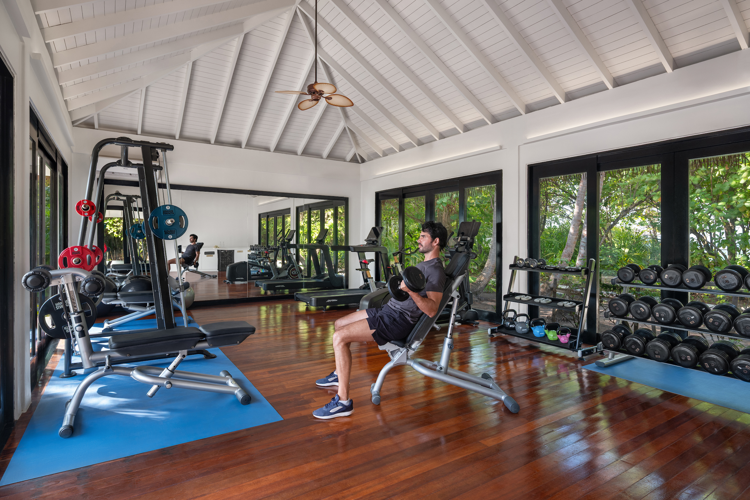 wellness