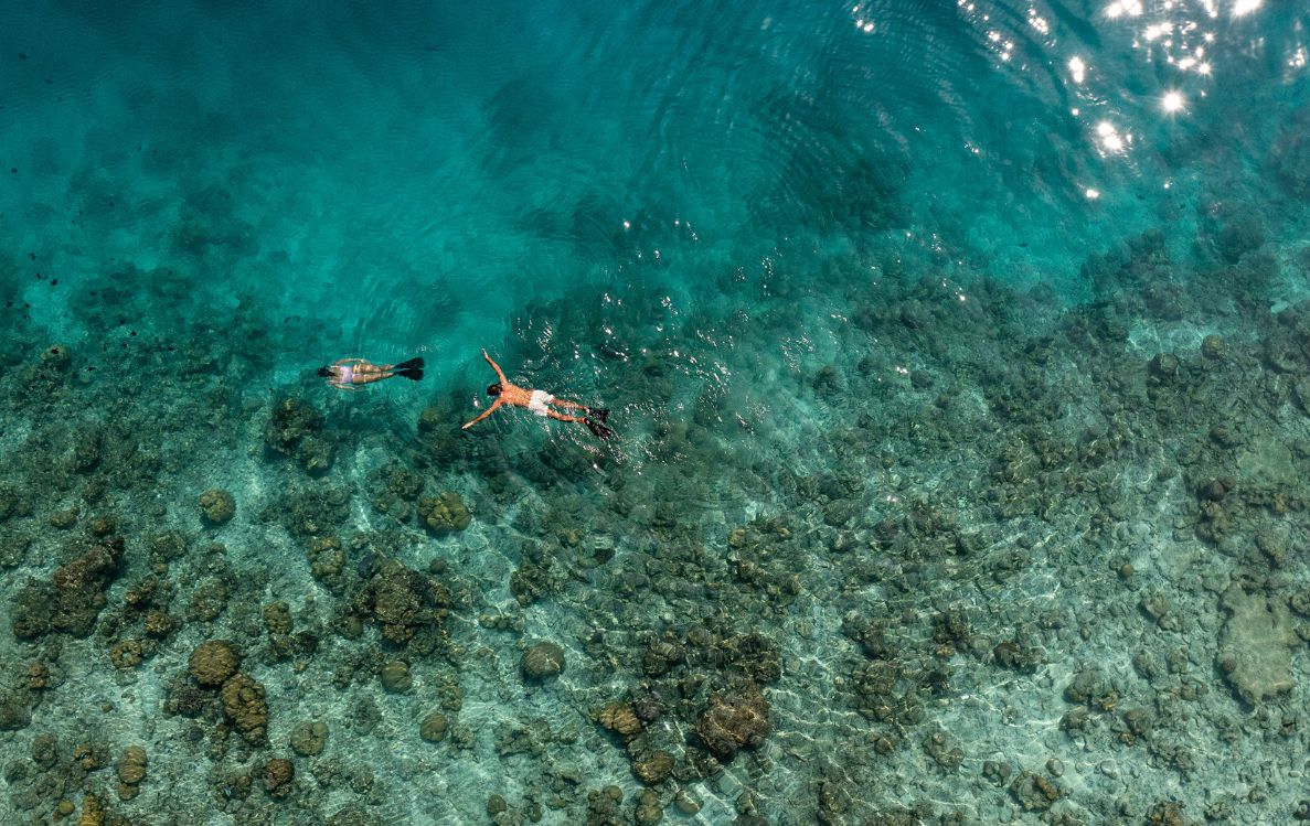 Guided House Reef Snorkel