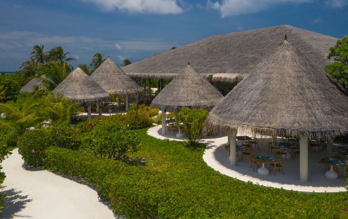 Octopus Restaurant