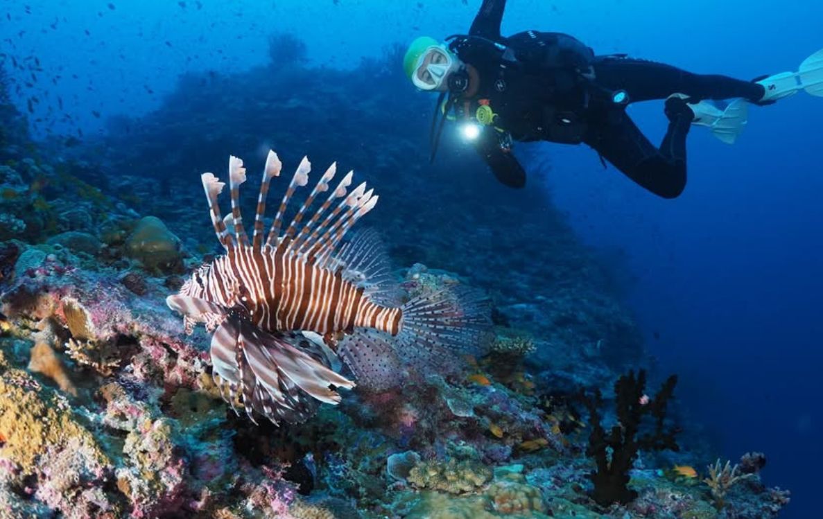 Housereef Rannalhi