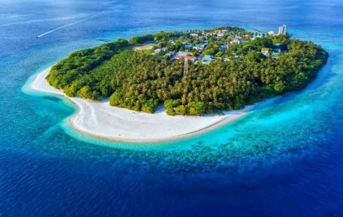Local Island Visit