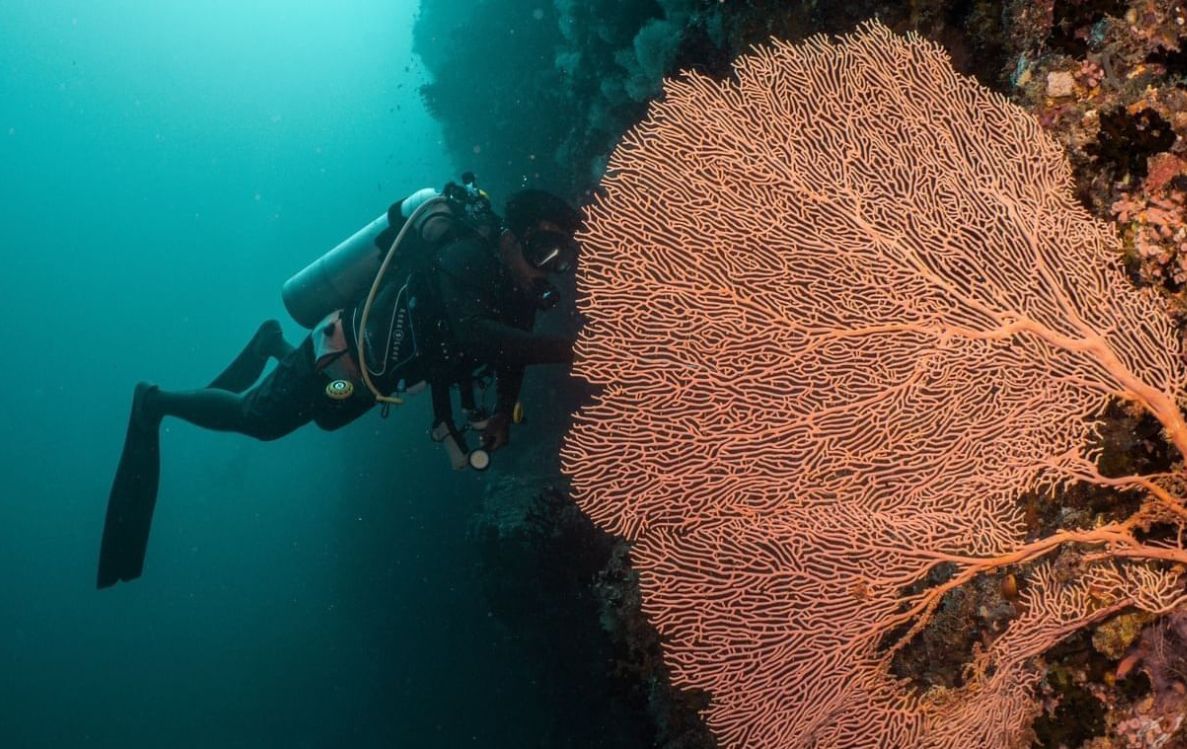 Scuba Diving