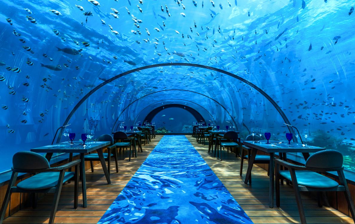5.8 Undersea Restaurantt