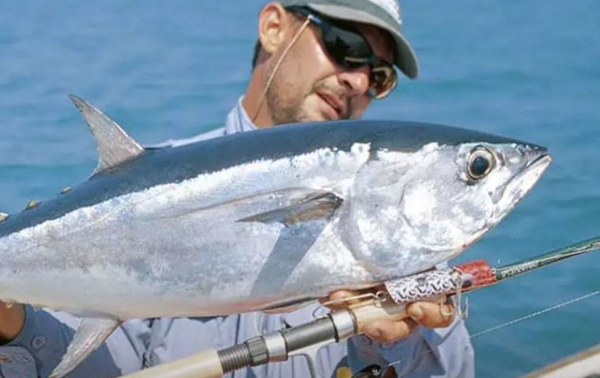 Big Game Fishing