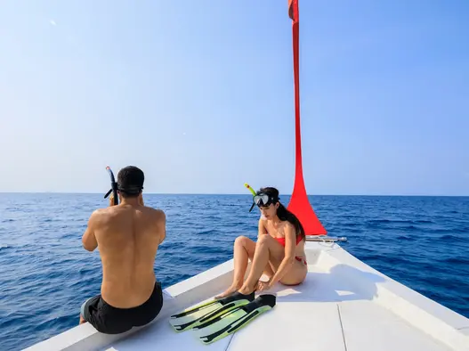 Whale Shark Snorkelling