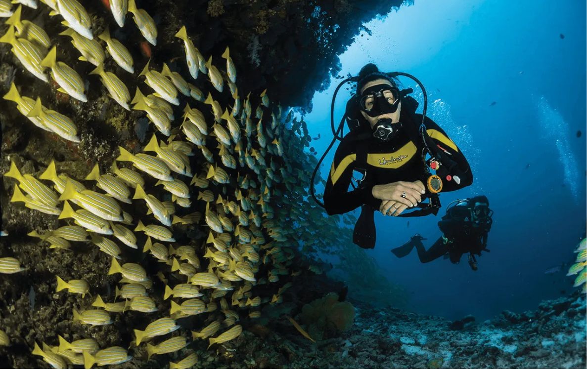 Diving