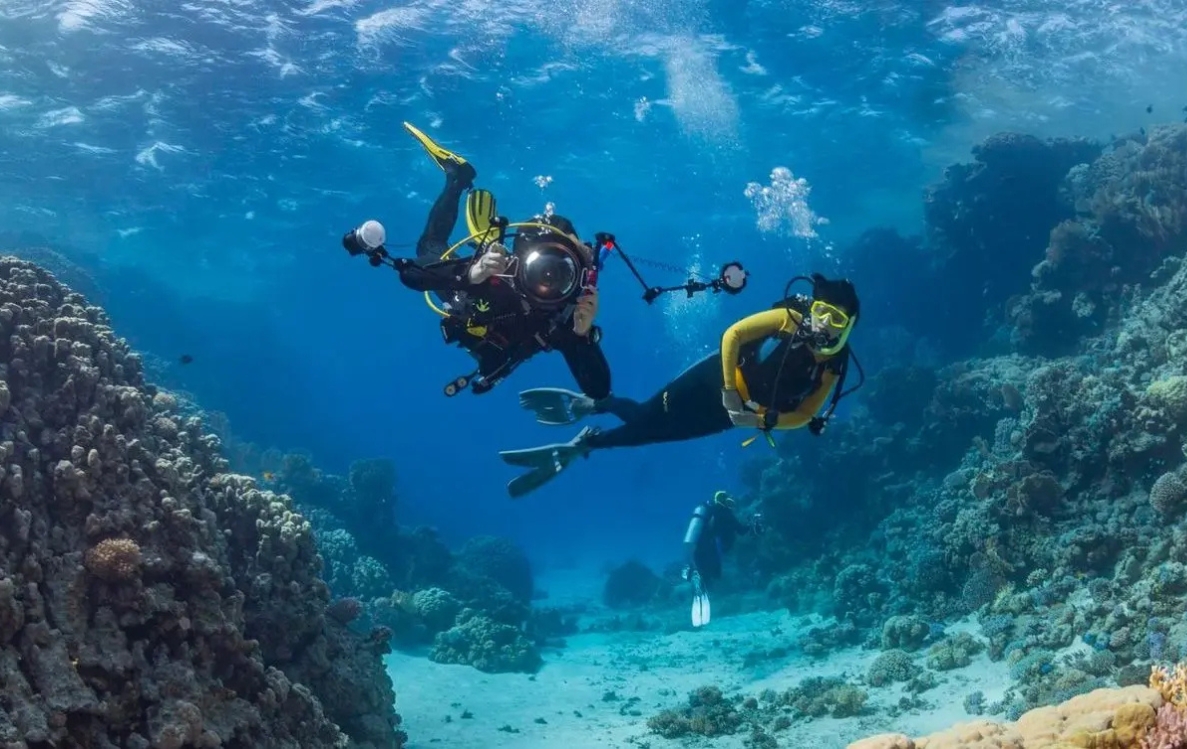Diving
