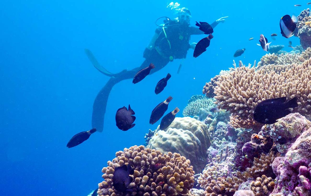 Explore Scuba Diving