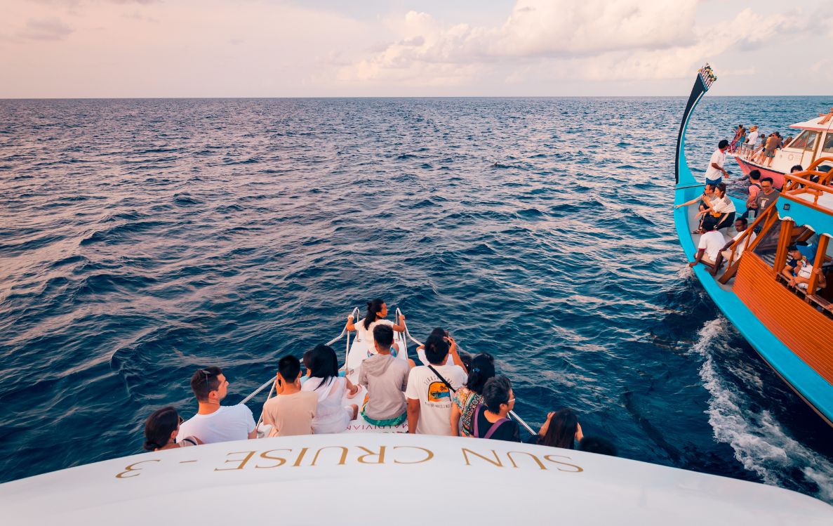 Dolphin Cruise