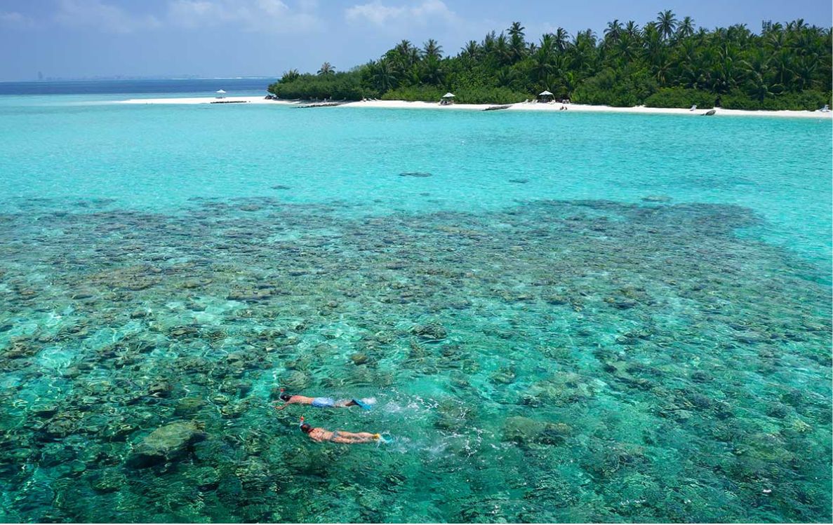 Snorkelling