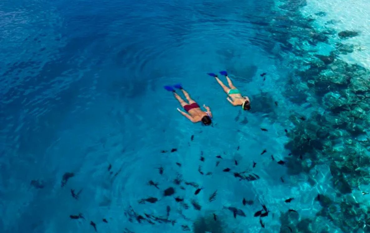 House Reef Snorkeling
