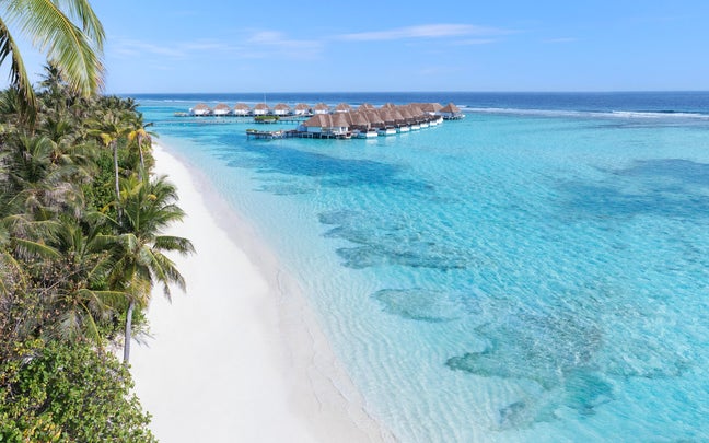 Maldives Sunset Dolphin Cruise