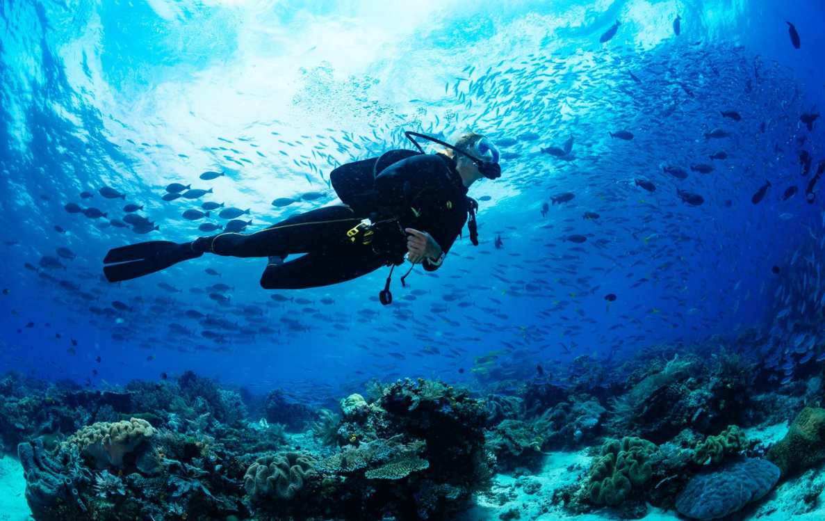 Diving and Watersports