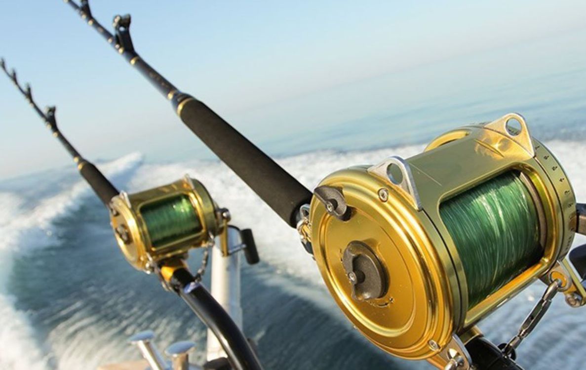 Big Game Fishing