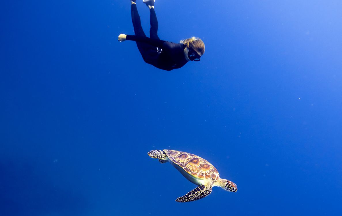 Diving