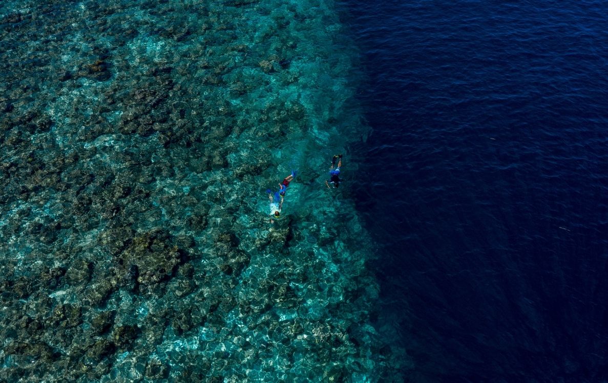Guided Reef Snorkel